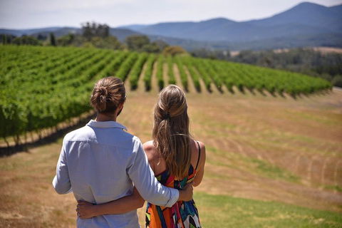 Yarra Valley Wine, Bubbles And Gin Tour! - Flights 4