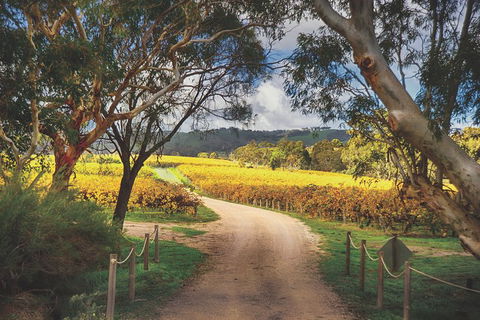 McLaren Vale Winery Small Group Tour With Wine Tasting And Lunch - Flights 1