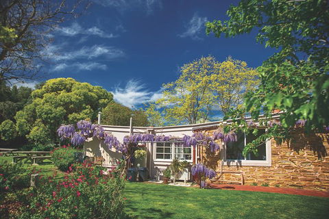McLaren Vale Winery Small Group Tour With Wine Tasting And Lunch - Flights 2