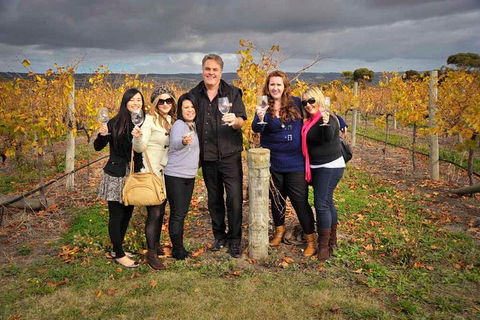 McLaren Vale Winery Small Group Tour With Wine Tasting And Lunch - Flights 3