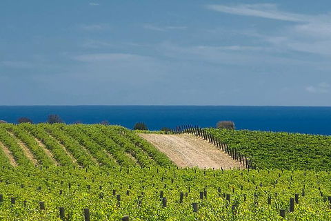 McLaren Vale Winery Small Group Tour With Wine Tasting And Lunch - Flights 4