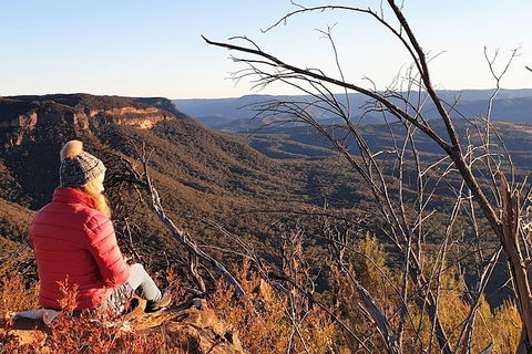 Ultimate Blue Mountains Waterfalls, Walks & Sunset PRIVATE Tour - Flights 2