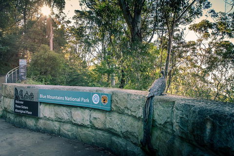 Ultimate Blue Mountains Waterfalls, Walks & Sunset PRIVATE Tour - Flights 3