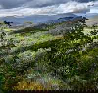 3-Day Tour to the Falls Mountains Lake  More of West Coast Tasmania - Flights