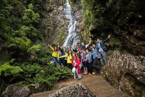 5-Day Lap Of Tasmania Tour From Hobart (flexible Ticket) - Flights 0