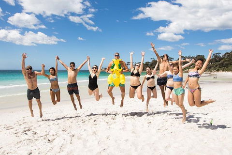 5-Day Lap Of Tasmania Tour From Hobart (flexible Ticket) - Flights 4