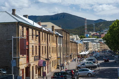 Private Hobart Tour To Museum Of Old And New Art And Lunch - Flights 3