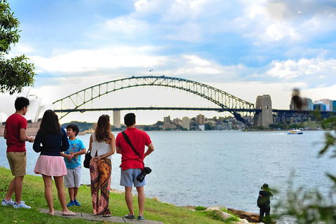 Luxury Sydney City Private Tour - Flights 3