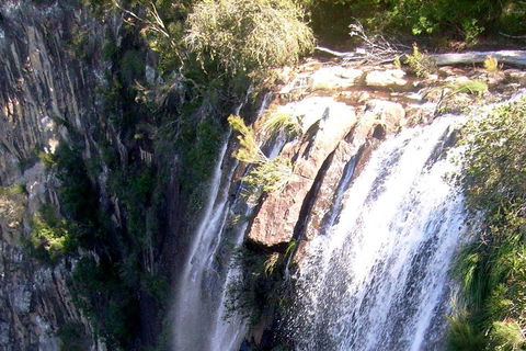 Byron Bay Combo: Hinterland Tour Including Minyon Falls And Kayaking With Dolphins - Flights 3