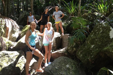 Byron Bay Combo: Hinterland Tour Including Minyon Falls And Kayaking With Dolphins - Flights 4