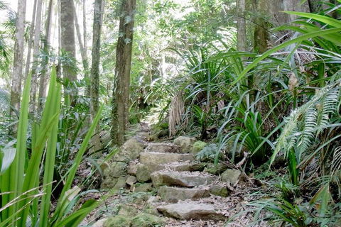 Byron Bay Combo: Hinterland Tour Including Minyon Falls And Kayaking With Dolphins - Flights 5