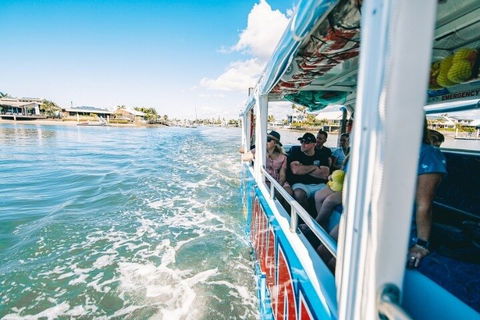 Aquaduck Sunshine Coast - Flights 5