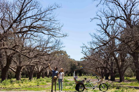 Adelaide 90-Minute Pedicab Tour: Scenic Green & River Experience - Flights 1