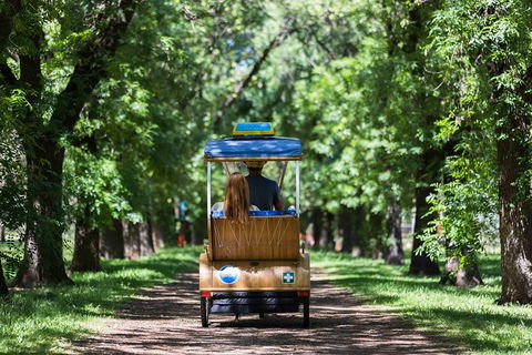 Adelaide 90-Minute Pedicab Tour: Scenic Green & River Experience - Flights 2