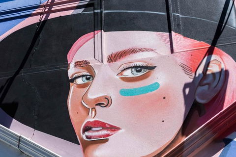 Adelaide 90-Minute Pedicab Tour: Street Art Experience - Flights 1