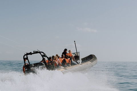 Adventure Whale Watching Tour Mooloolaba - Flights 0