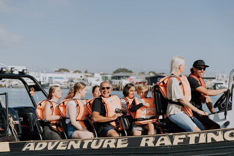 Adventure Whale Watching Tour Mooloolaba - Flights 4