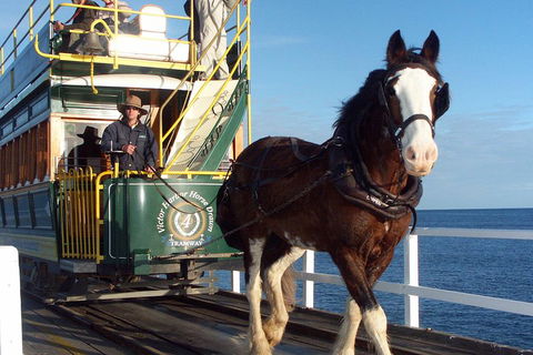 Full-Day Tour In South Australia Highlights - Flights 1