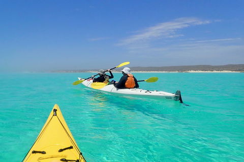 Lagoon Explorer - Ningaloo Reef Full-Day Kayaking And Snorkeling Adventure - Flights 0