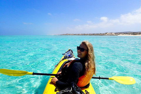 Lagoon Explorer - Ningaloo Reef Full-Day Kayaking And Snorkeling Adventure - Flights 1