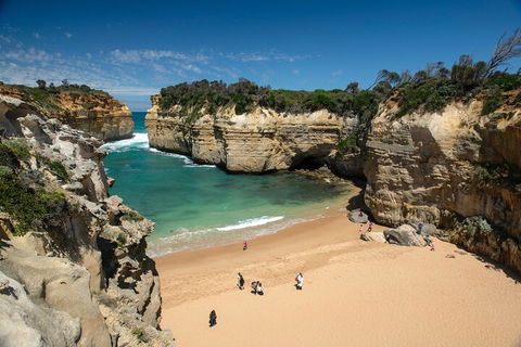 LGBT+ Friendly 12-Hour Great Ocean Road Private Tour - Flights 5