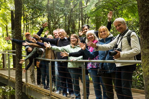 All Inclusive Blue Mountains Small-Group Day Trip From Sydney - Flights 5