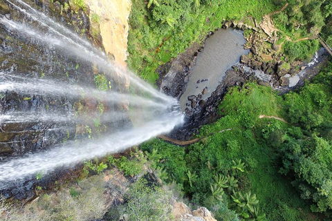 Natural Bridge & Springbrook Waterfalls Tour + Hot Air Balloon With Breakfast - Flights 1