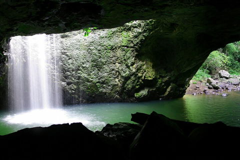 Natural Bridge & Springbrook Waterfalls Tour + Hot Air Balloon With Breakfast - Flights 2