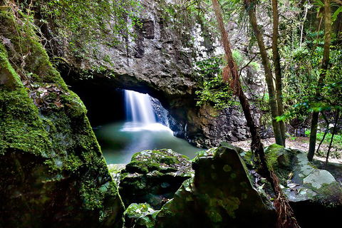 Natural Bridge & Springbrook Waterfalls Tour + Hot Air Balloon With Breakfast - Flights 4