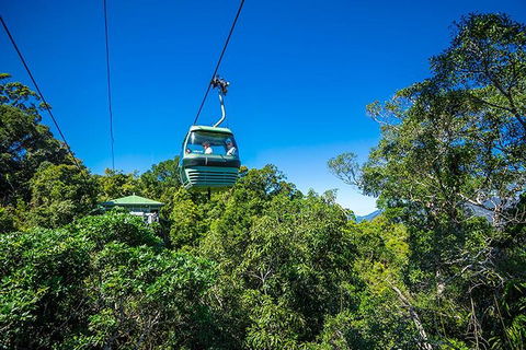 Skyrail Rainforest Cableway Day Trip From Cairns - Flights 1