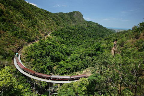 Skyrail Rainforest Cableway Day Trip From Cairns - Flights 5