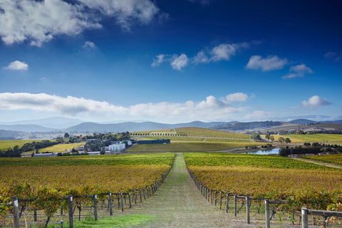 Yarra Valley Wine And Wildlife Self-Driving Tour - Flights 1