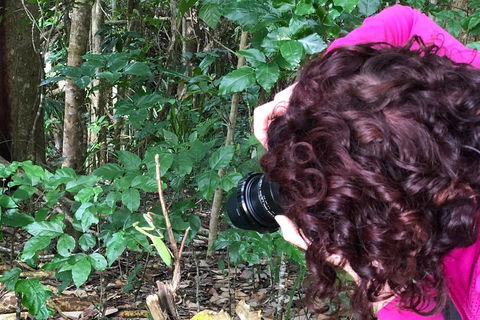Let's Go Buggin & Let's Go Shroomin - Photography & Nature Walking Tours - Flights 1