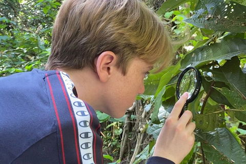 Let's Go Buggin & Let's Go Shroomin - Photography & Nature Walking Tours - Flights 3