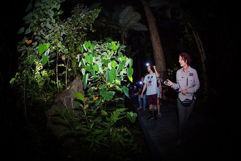 Let's Go Buggin & Let's Go Shroomin - Photography & Nature Walking Tours - Flights 4