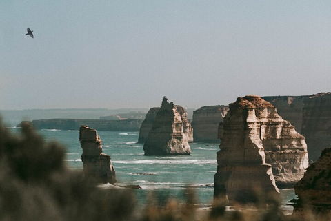 Half-Day Or Full-Day Tour With Private Guide From Melbourne - Flights 0