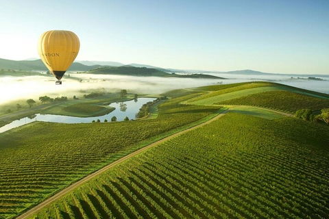 Half-Day Or Full-Day Tour With Private Guide From Melbourne - Flights 4