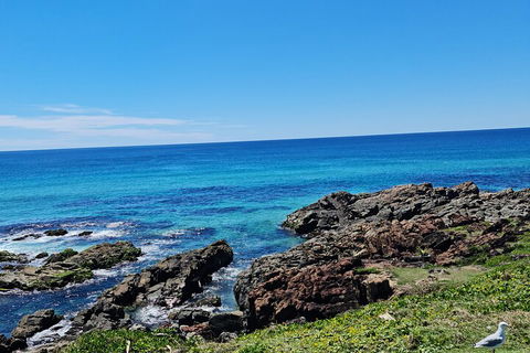 Private Custom Byron Bay Day Out - Flights 4