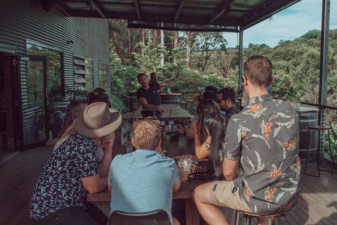 Private Custom Byron Bay Day Out - Flights 5