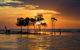 Delightful Darwin Self-Guided Audio Tour - thumb 3
