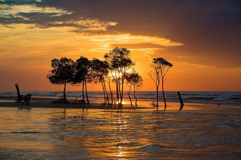 Delightful Darwin Self-Guided Audio Tour - Flights 3