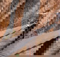 Chillagoe Caves and Outback Day Trip from Cairns - Flights
