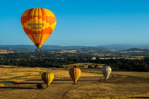 Yarra Valley Balloon Flight And Winery Tour - Flights 0