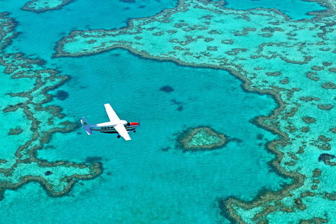 Fly & Sail Package (With Providence) - Flights 4