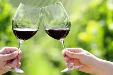Yarra Valley Premium Tour Inc Lunch And Cheese And Wine Pairing At De Bortoli - Flights 5