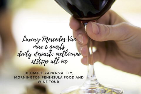 Yarra Valley Premium Tour Lunch And Sparkling Wine Tasting At Domaine Chandon - Flights 5