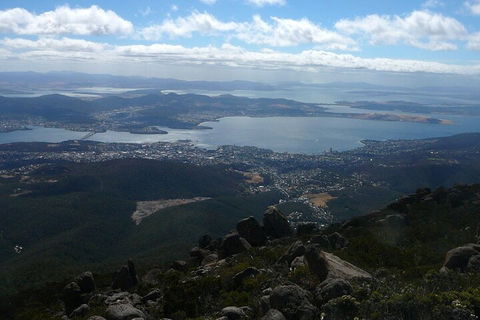 Mt Wellington Tour And MONA Admission - Flights 2