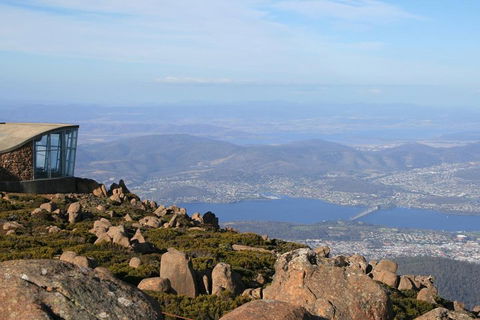 Mt Wellington Tour And MONA Admission - Flights 3