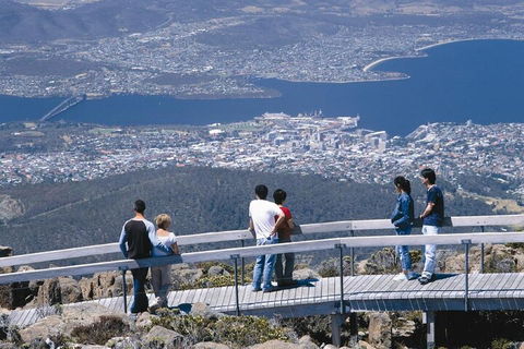 Mt Wellington Tour And MONA Admission - Flights 4