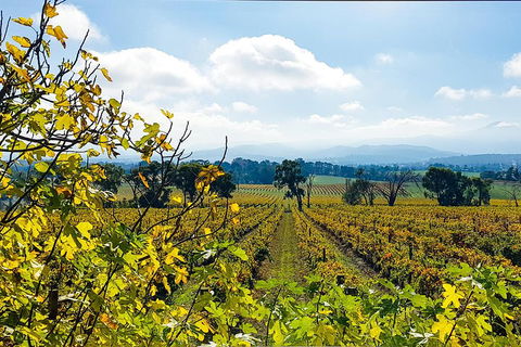 Yarra Valley Wine & Food Tour Departing From Melbourne - Flights 4
